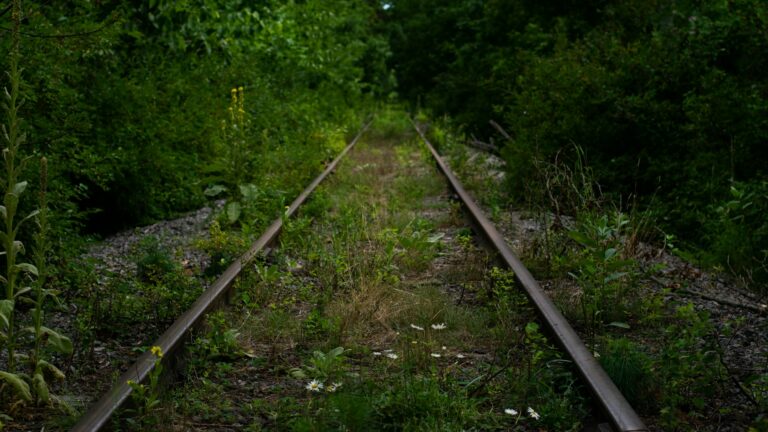 Unused railway line